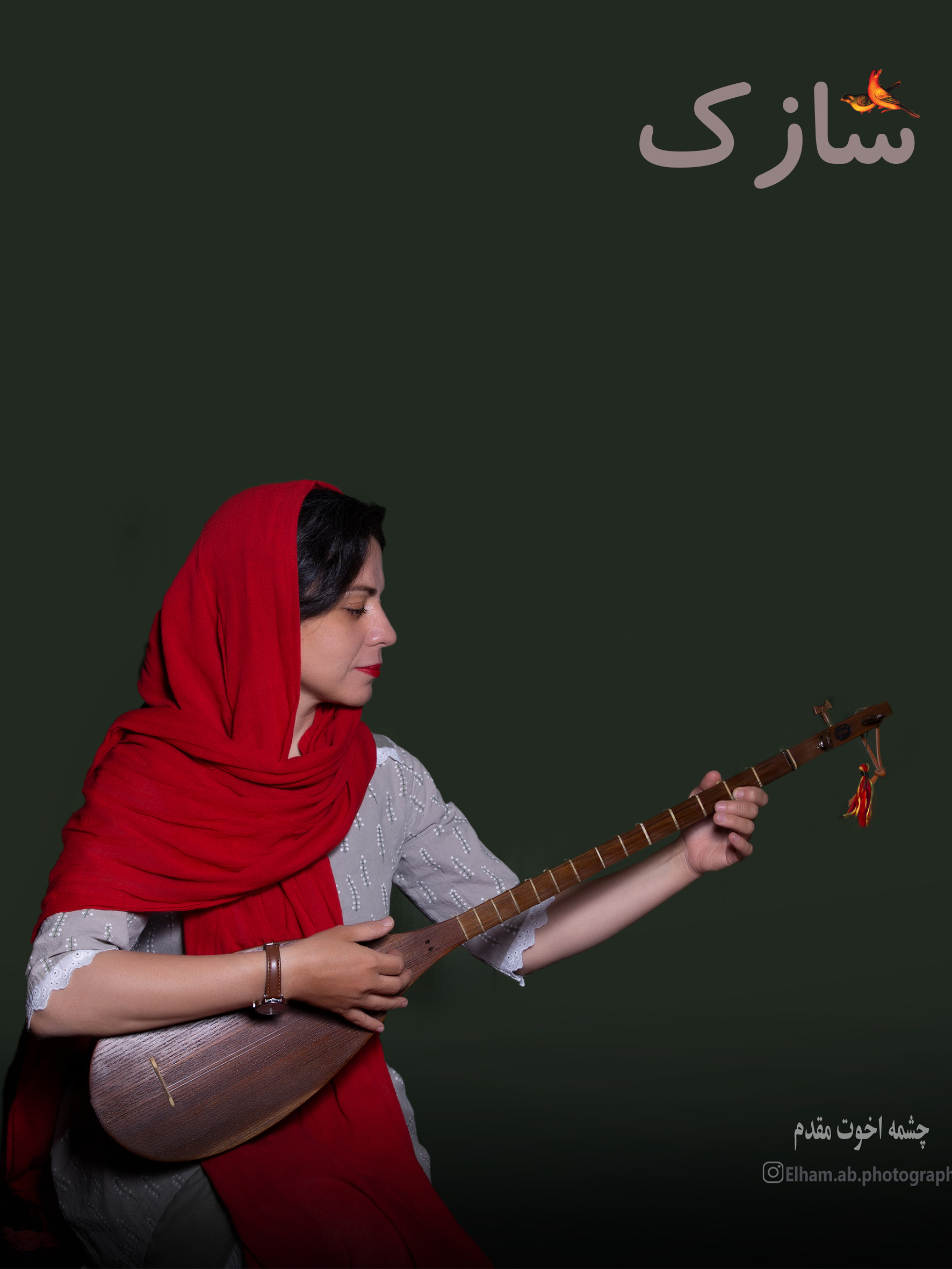 چشمه اخوت مقدم